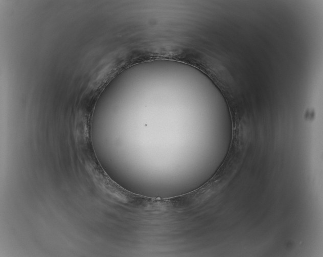 X0000110931058200906251328
