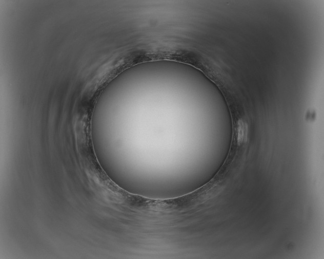 X0000110931059200906251328