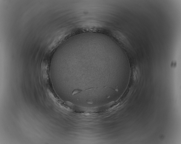 X0000110931060200906251328