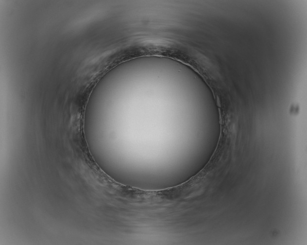 X0000110931061200906251328