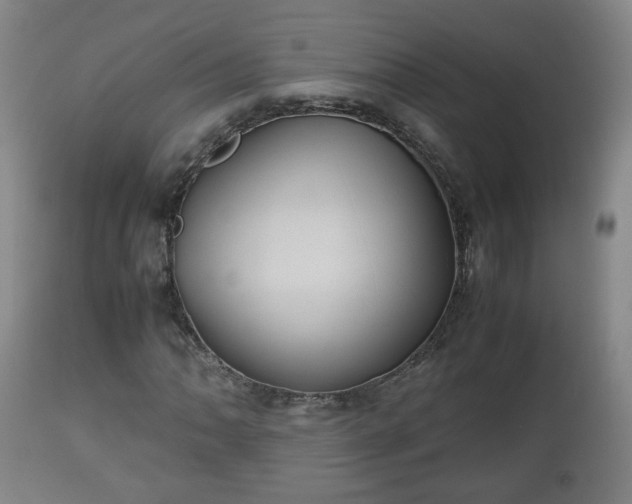 X0000110931062200906251328