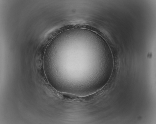 X0000110931063200906251328