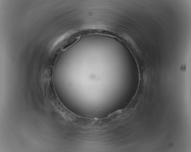 X0000110931064200906251328