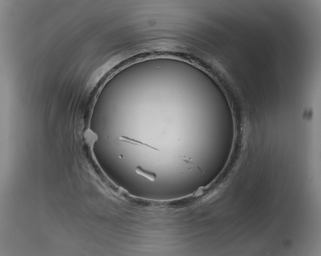 X0000110931065200906251328