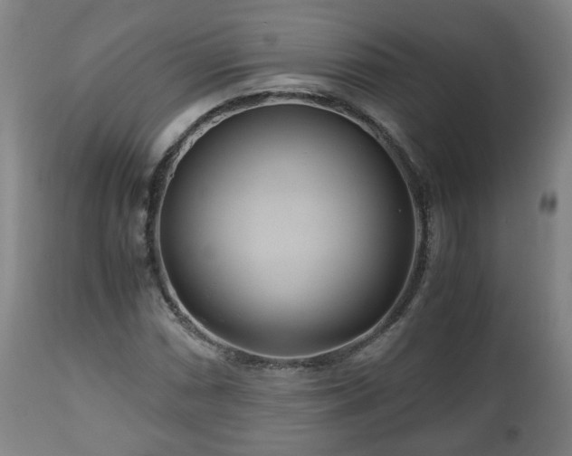 X0000110931066200906251328