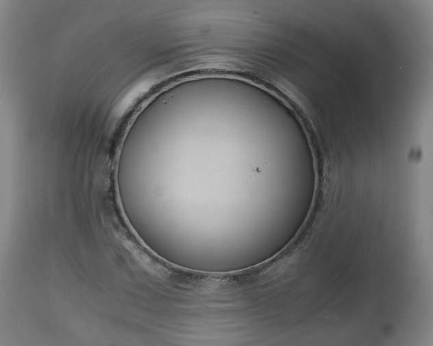 X0000110931067200906251328
