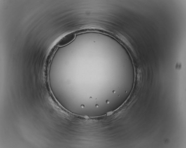 X0000110931068200906251328