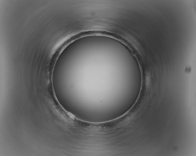 X0000110931069200906251328