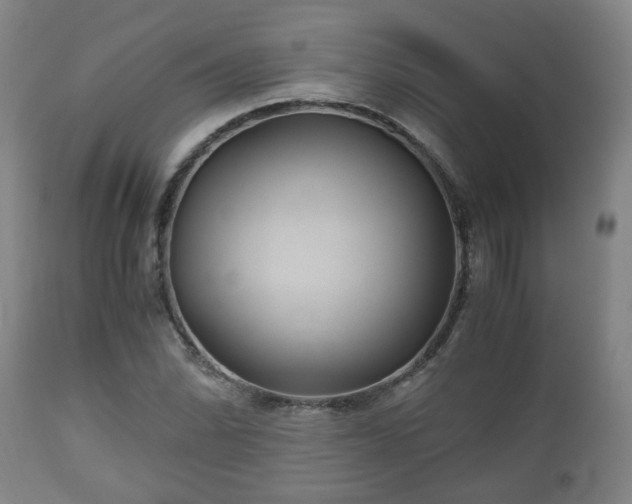 X0000110931070200906251328