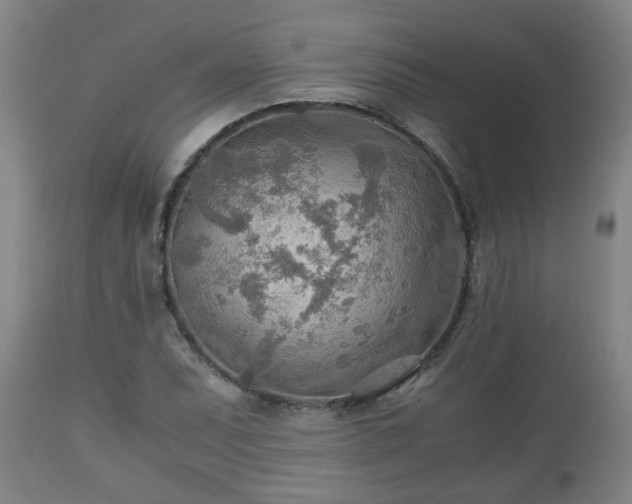 X0000110931071200906251328