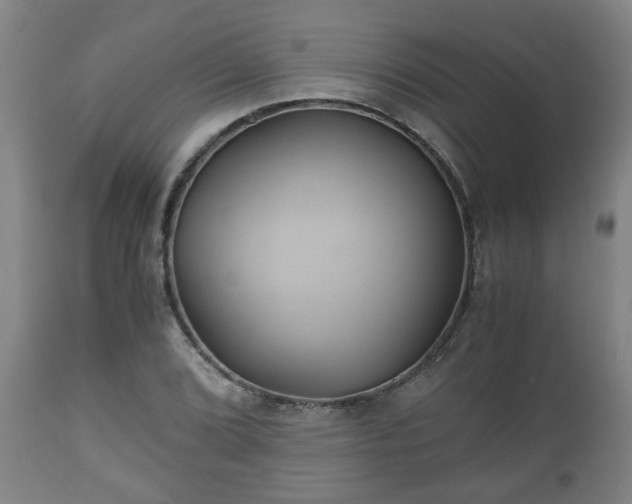 X0000110931072200906251328