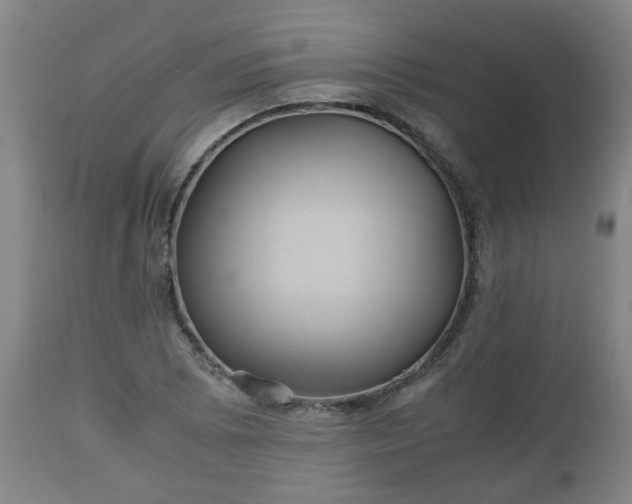 X0000110931073200906251328