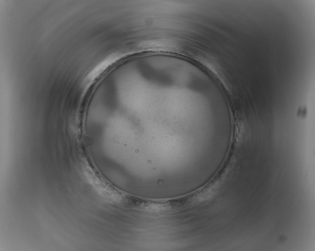 X0000110931074200906251328