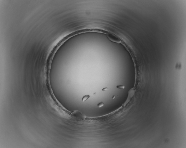 X0000110931076200906251328