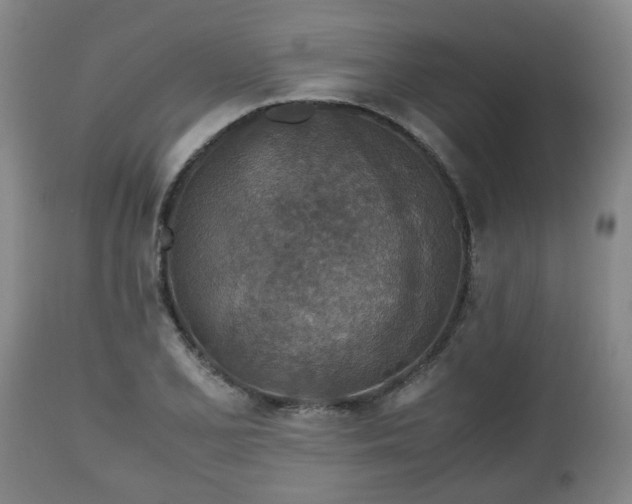X0000110931077200906251328