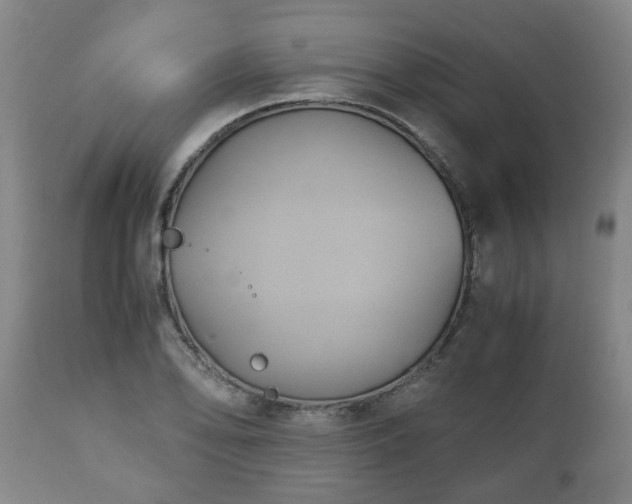 X0000110931078200906251328