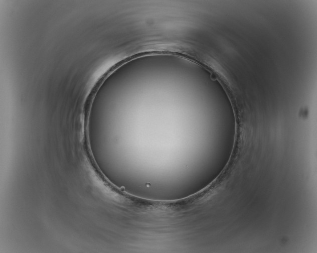X0000110931079200906251328