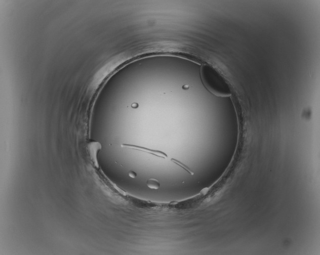 X0000110931081200906251328