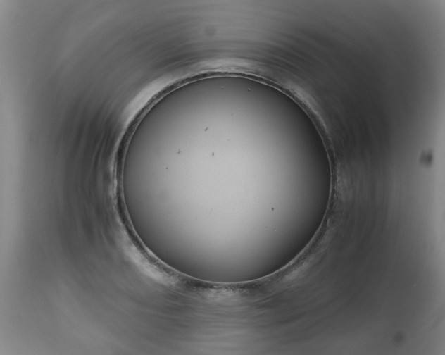 X0000110931082200906251328