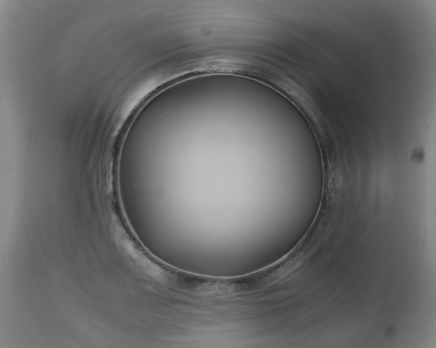X0000110931083200906251327