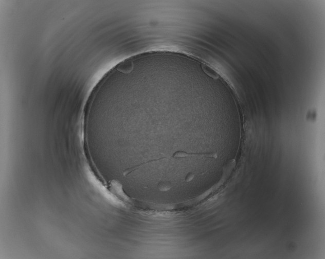 X0000110931084200906251327