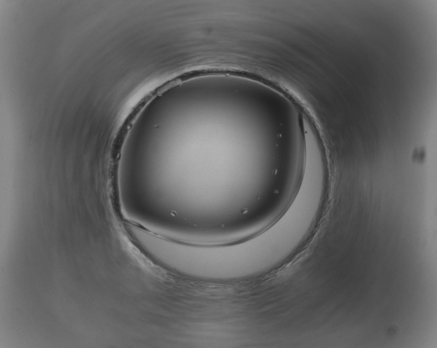 X0000110931085200906251327