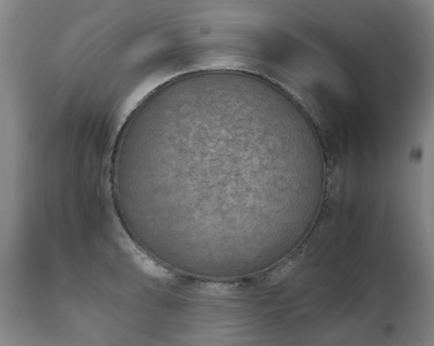 X0000110931086200906251327
