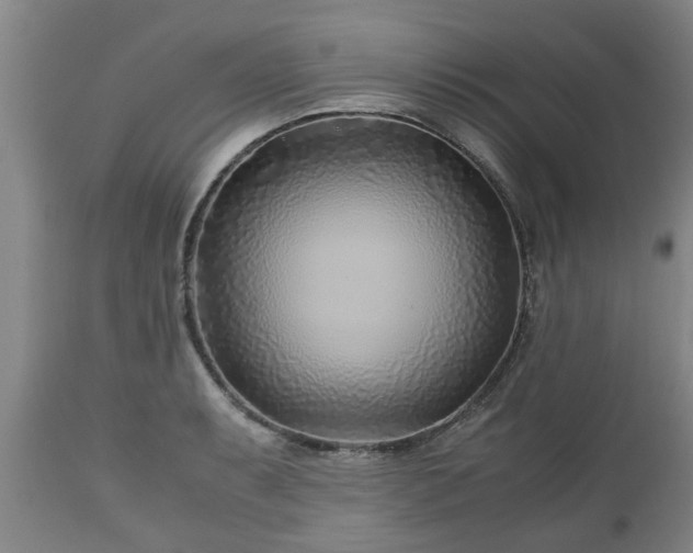 X0000110931087200906251327