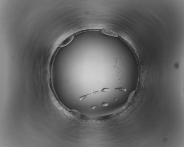 X0000110931088200906251327