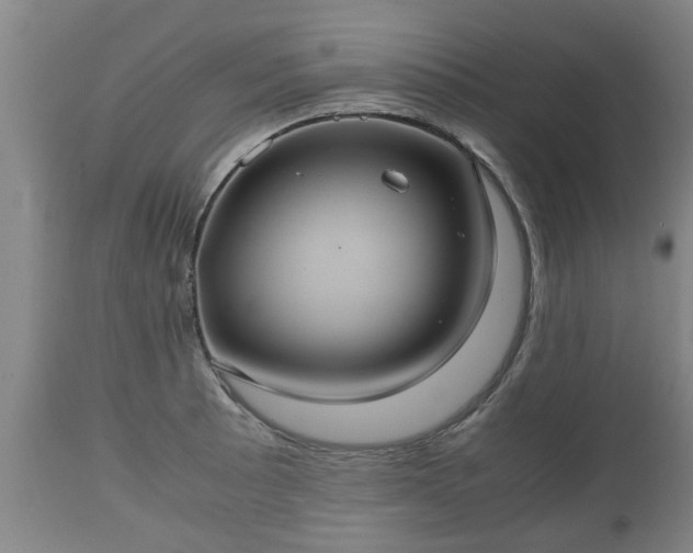 X0000110931089200906251327