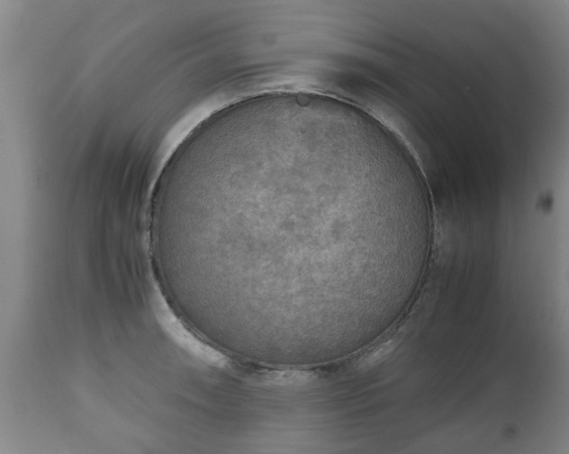 X0000110931090200906251327