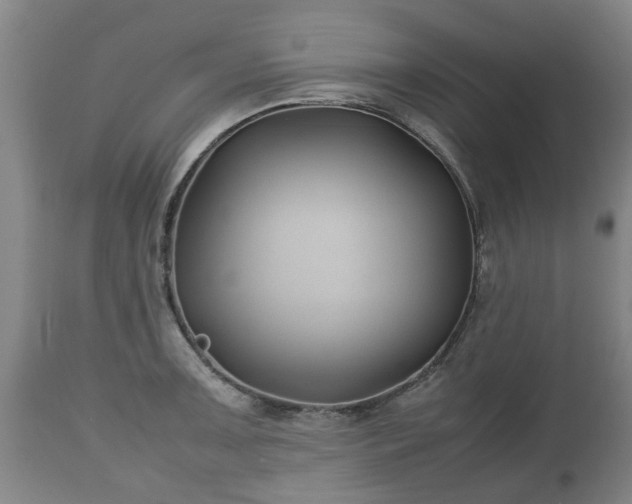 X0000110931091200906251327