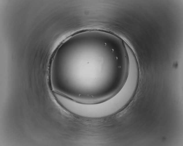 X0000110931093200906251327