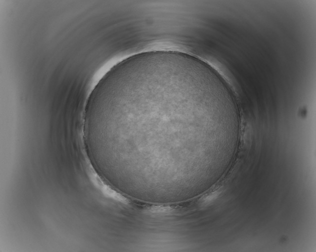X0000110931094200906251327