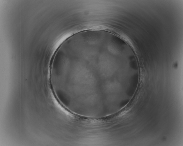 X0000110931095200906251327