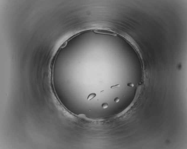 X0000110931096200906251327