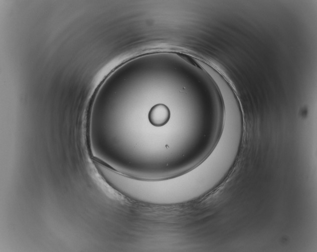 X0000110931098200906251327