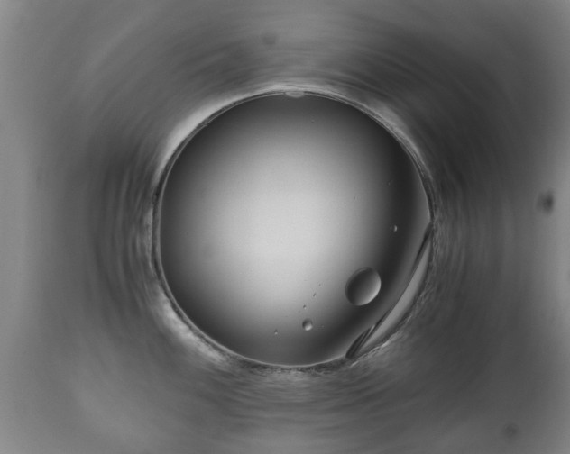 X0000110931100200906251327