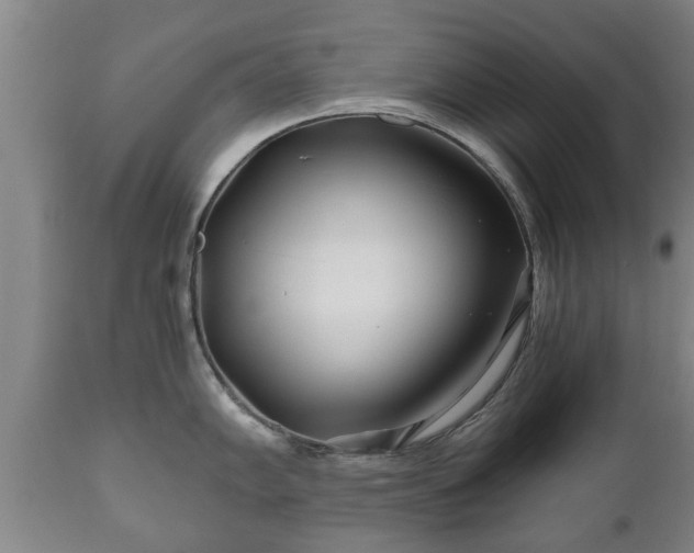 X0000110931102200906251327
