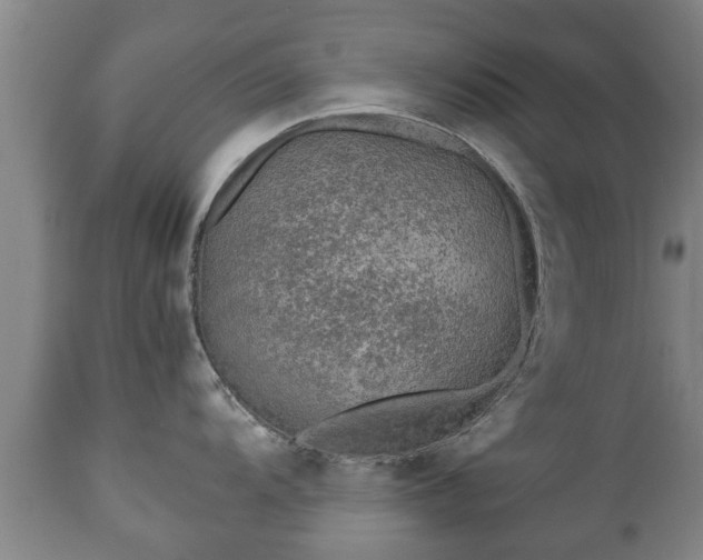 X0000110931104200906251327