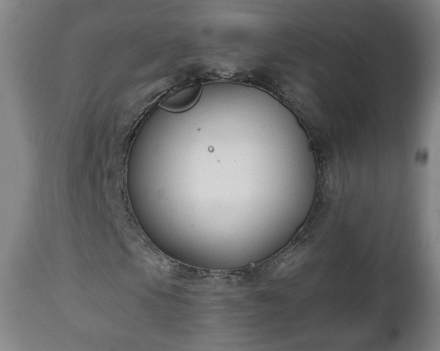 X0000110931105200906251327