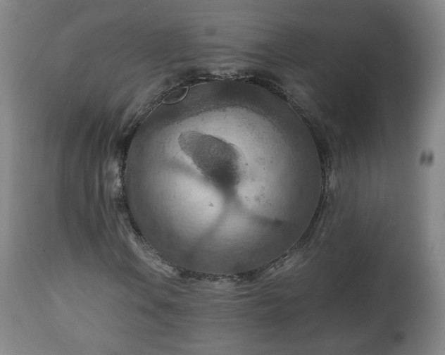 X0000110931106200906251327