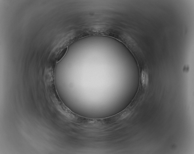 X0000110931107200906251327