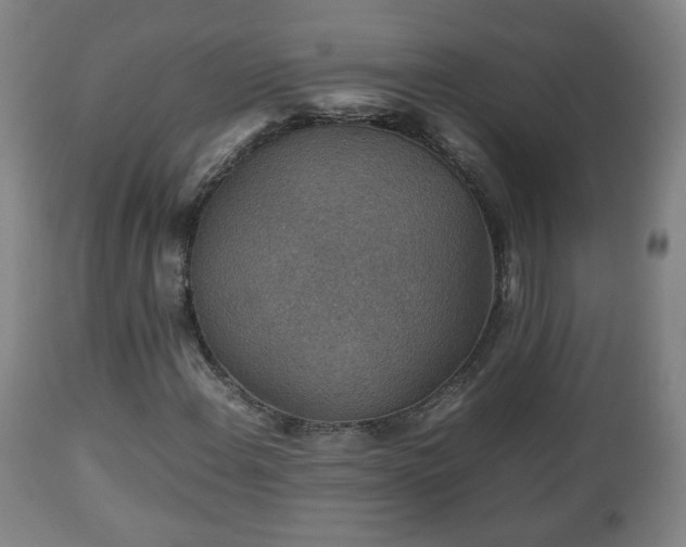 X0000110931108200906251327