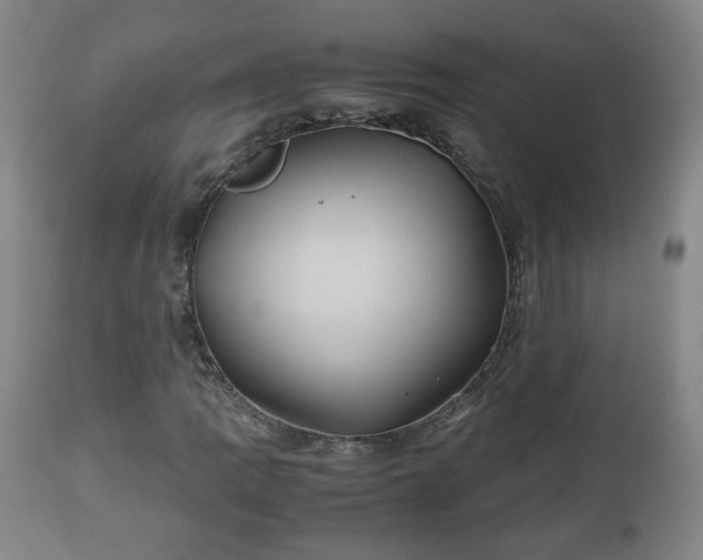 X0000110931109200906251327