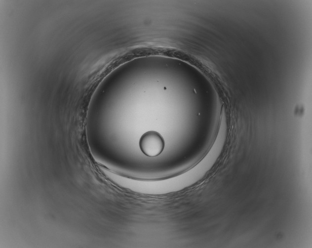 X0000110931110200906251327