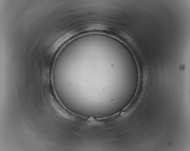X0000110931113200906251327