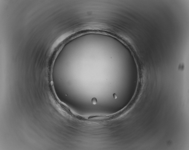X0000110931114200906251327