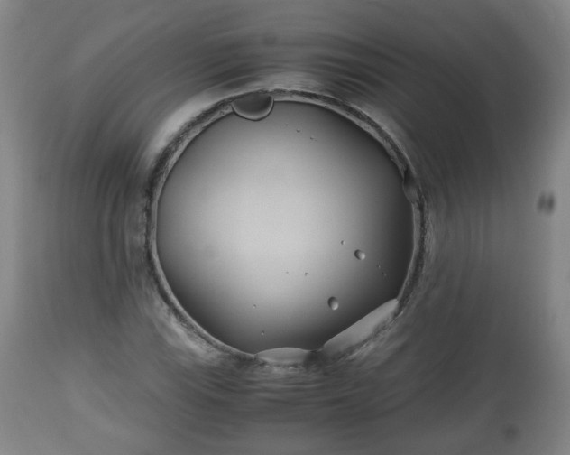 X0000110931115200906251327