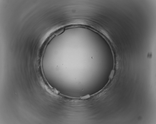 X0000110931116200906251327